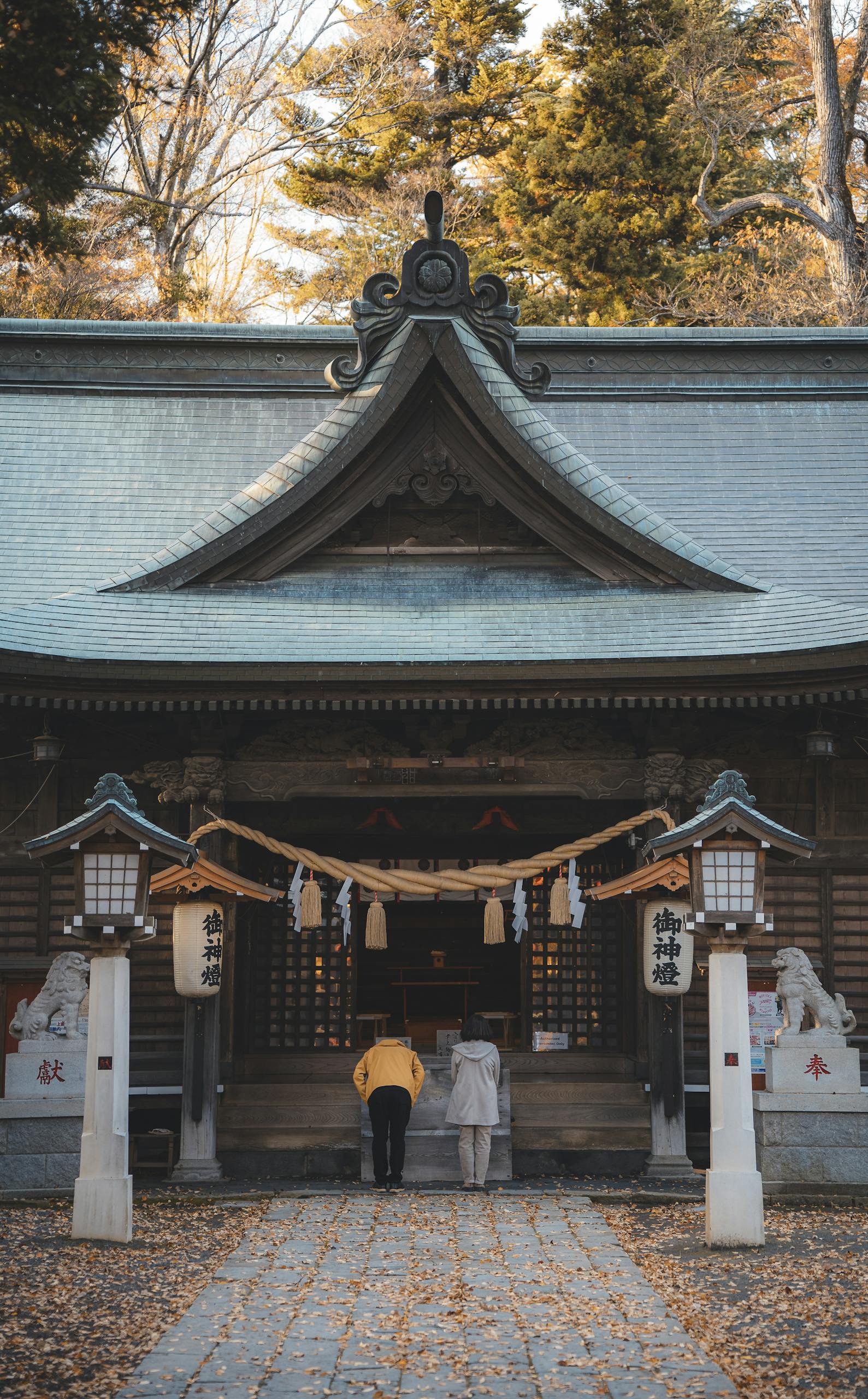 Serene view of a Japanese shrine amidst autumn leaves, capturing cultural beauty.